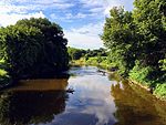 Shiawassee River