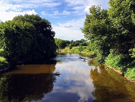 Shiawassee River 1