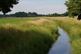 Siede River in Germany