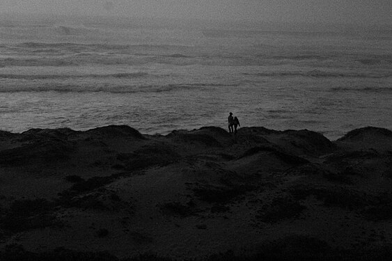 People walking on the beach in California