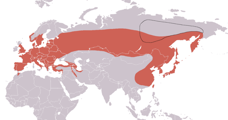 File:Sitta europaea distribution map.png