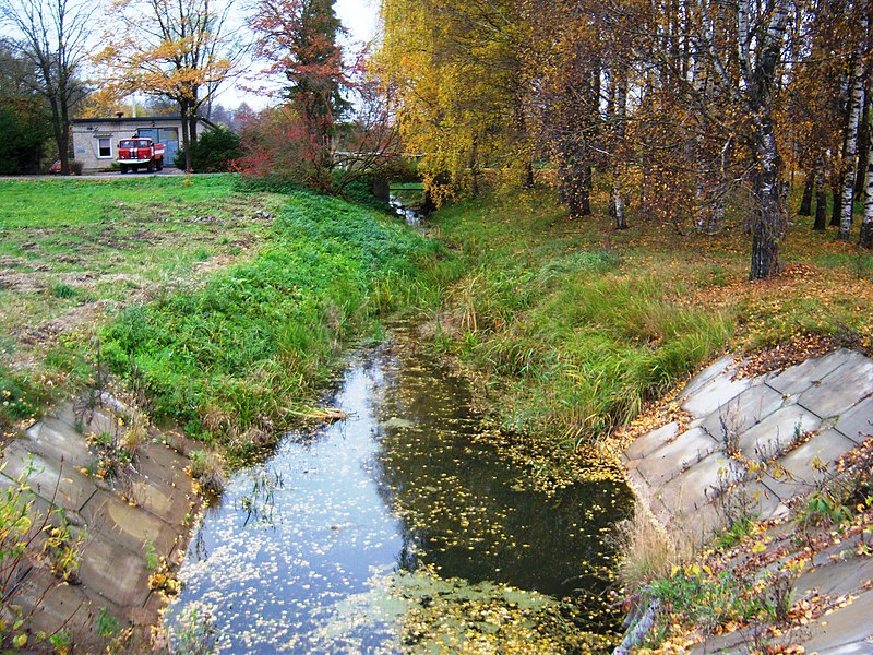 File:Skapiškis, Mituva (Lėvuo).JPG