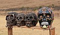 * Nomination Ceramic skulls, Teotihuacan, Mexico --Cvmontuy 10:25, 3 February 2020 (UTC) * Promotion Good quality. --Peulle 11:15, 3 February 2020 (UTC)