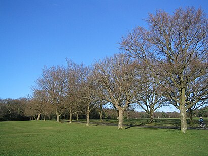 How to get to Southampton Common with public transport- About the place