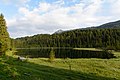 * Nomination Lake Spechtensee near Wörschachwald, Styria - viewing towards northwest --Uoaei1 05:11, 10 November 2015 (UTC) * Promotion Good quality. --Johann Jaritz 05:20, 10 November 2015 (UTC)