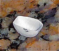 Empty half-shell of a split bupropion XL 150mg manufactured by Anchen Pharmaceuticals that was soaked in water overnight and then shaken. Split Bupropion XL shell Anchen.jpg