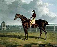 St Patrick (cheval) .jpg