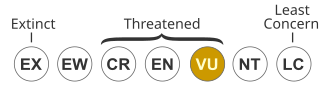 Vulnerable (VU) species are considered to be facing a high risk of extinction in the wild. Status iucn3.1 VU.svg