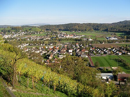 Staufen Rebberg