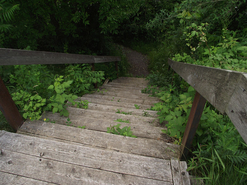 File:Steps leading down to the St. Lawrence River at the Battle of the Windmill historic site.jpg