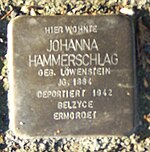 Stolperstein Eichrodterweg4, Eisenach- J.Hammerschlag.jpg