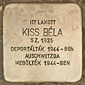 Stolperstein für Kiss Béla - Béla Kiss (Sátoraljaújhely).jpg