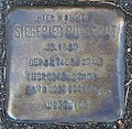 image=File:Stolperstein_in_Soest_Westenhellweg_2-4_a.jpg