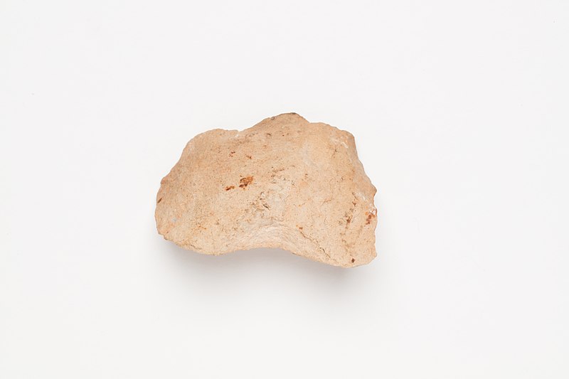 File:Stone fragment (AM 1962.131-1).jpg