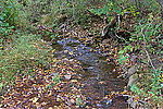 Thumbnail for Stony Run (Little Catawissa Creek tributary)