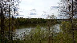 Estanque Sukhanovsky en el río Gvozdyanka.  Vista desde la finca Sukhanovo