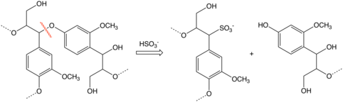 idealized scheme for lignin depolymerization by the Sulfite process. SulfiteProcessSimple.png