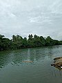 Sungai Maros, dekat dari Tempat Pelelangan Ikan Maros di Lingkungan Labuang, Kelurahan Pettuadae.