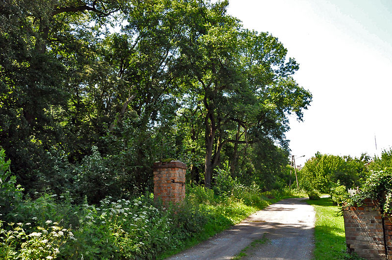 File:Szczepanów park.jpg