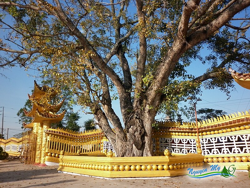 File:Tây An Cổ Tự (Chợ Mới, An Giang).JPG