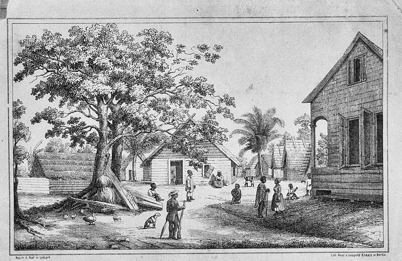 File:Tekening van Ganse in Suriname - Paramaribo - 20419974 - RCE.jpg