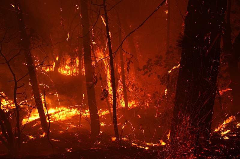 File:The Rim Fire on August 17, 2013.jpg