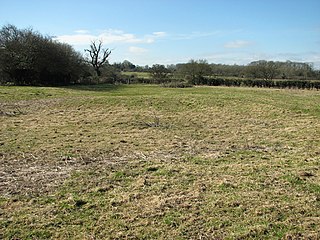 <span class="mw-page-title-main">Bixley medieval settlement</span>