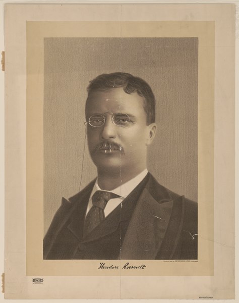 File:Theodore Roosevelt LCCN2014645118.tif