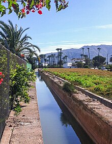 Paisaje típico de la huerta de Murcia. Acequia de Benicomay en las proximidades de Los Ramos