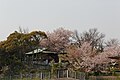 2017年3月30日 (木) 12:09時点における版のサムネイル