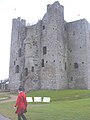 Trim Castle