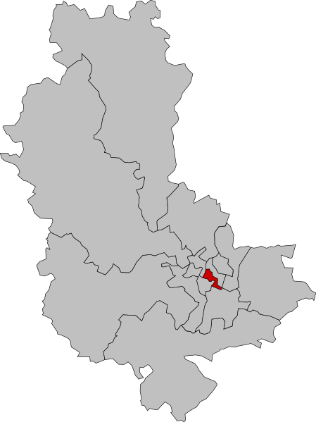 File:Troisième circonscription du Rhône.svg