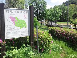 鶴見川: 概要, 地理, 生物