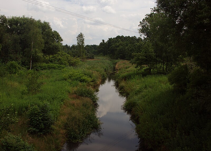 File:Tworóg Stoła 2017-07-08 p.jpg