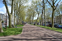 Avenue de Saint-Cloud (Versailles)