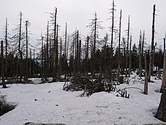 View from Brockenstraße 26.jpg 78886020 6 565 20190601074155