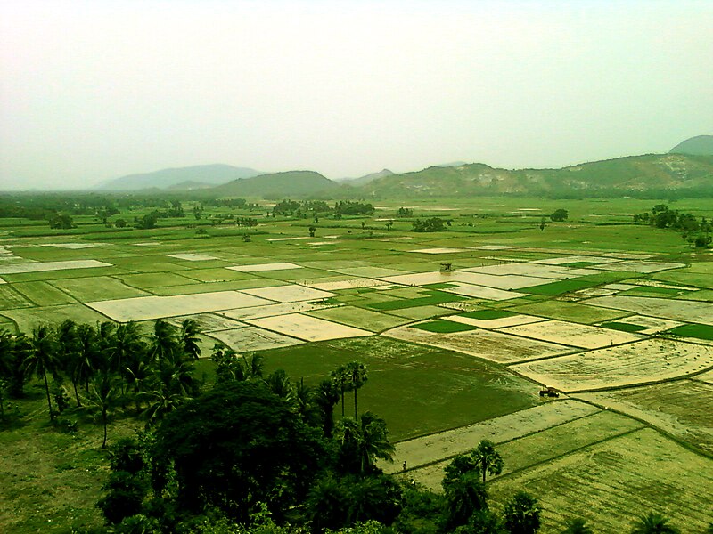 File:View of paddy fields from Bojjannakonda hilllock, Sankaram.jpg