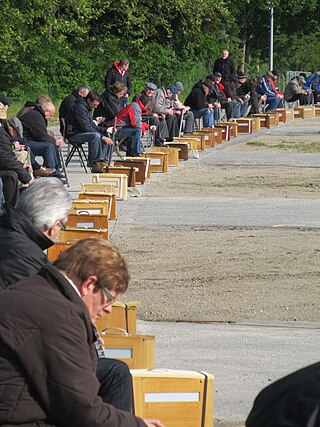 <span class="mw-page-title-main">Bird singing contest</span>