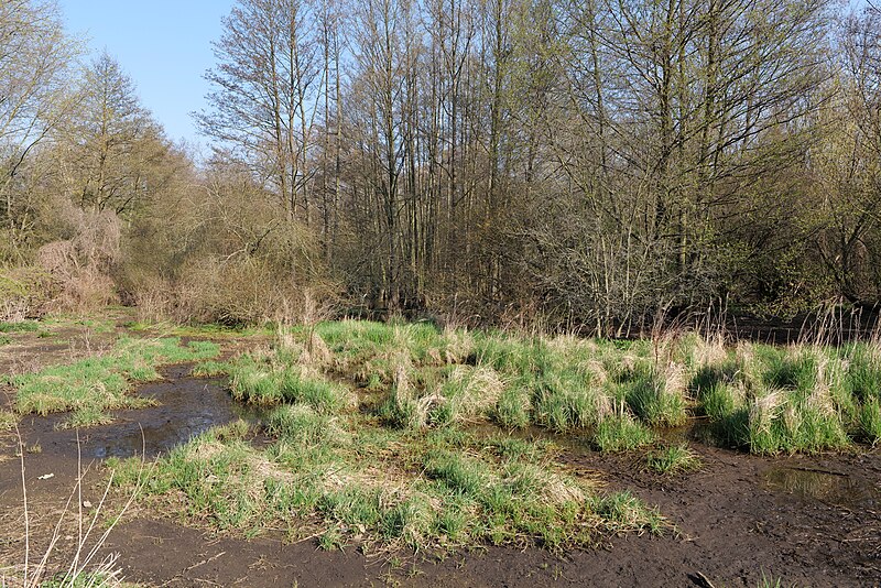 File:Volkspark Wuhlheide 2021-04-20 40.jpg