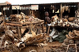 Marché des féticheurs, Lomé, Togo.