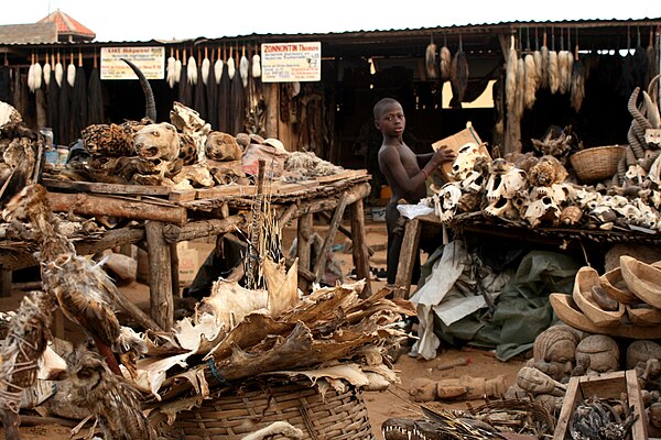A voodoo fetish market in Lomé, Togo, 2008
