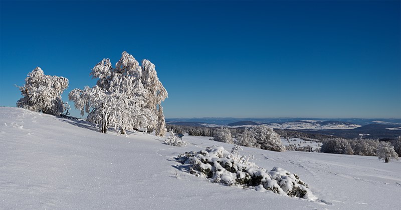 File:Winter auf dem Melpertser Rasenberg.jpg