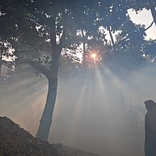 Winter morning in Dinajpur Winter morning in Bangladesh.jpg