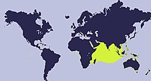 Distribution map of Mauritia histrio Wyst-histrio.jpg