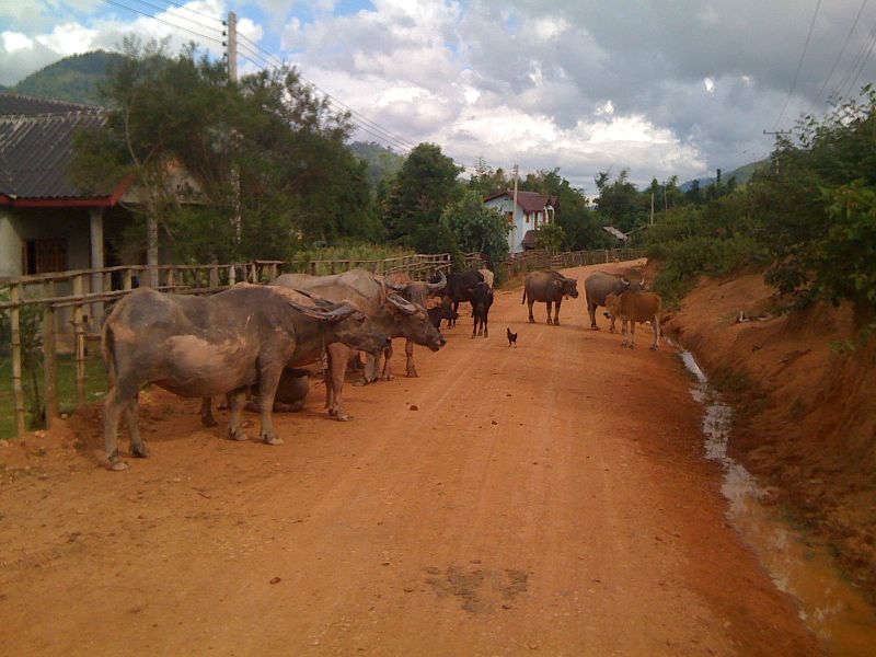 File:Xiangkhouang Province, Laos - panoramio (2).jpg