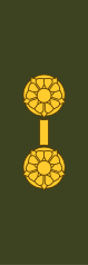 YliluutnanttiSwedish: Premiärlöjtnant(Finnish Army)[14]