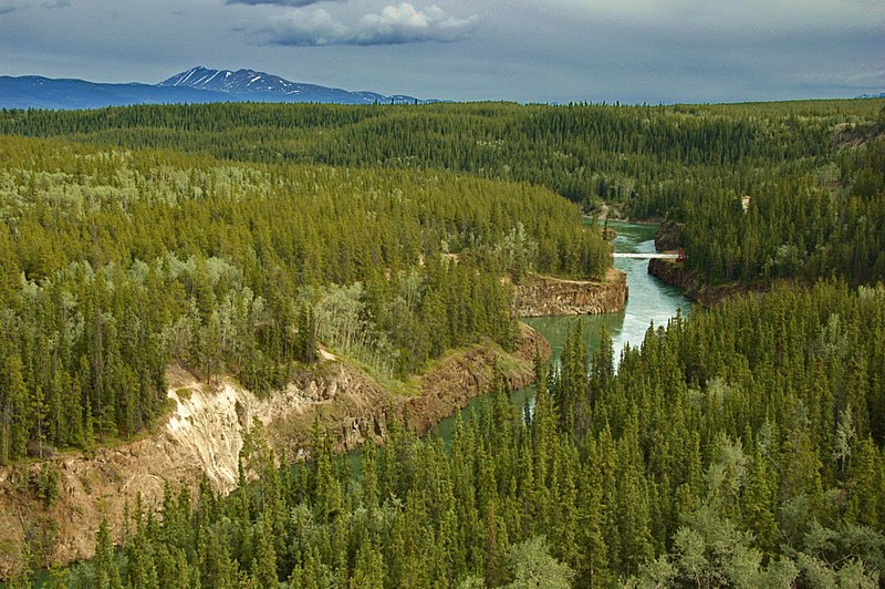 File:Yukon River -d.jpg