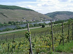 Weinbau In Deutschland: Geschichte des Weinanbaus in Deutschland, Bedeutung und Umfang, Gliederung der Lagen