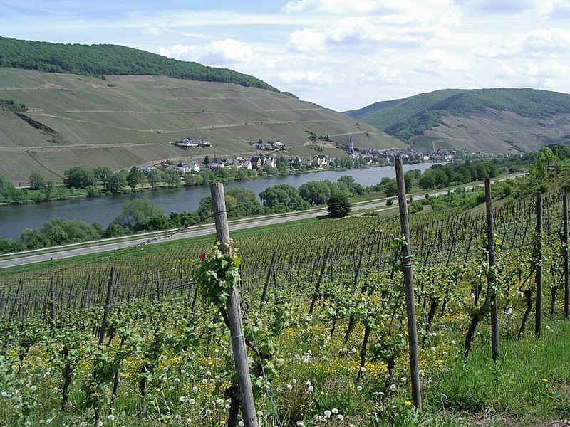 Weinbau in Deutschland – Wikipedia