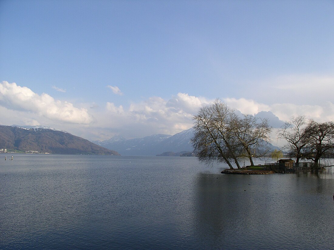 Lago di Zugo